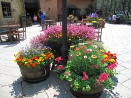 090415TDR012.jpg
