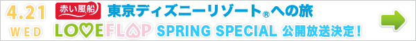 TDR2010SPRING_info.gif
